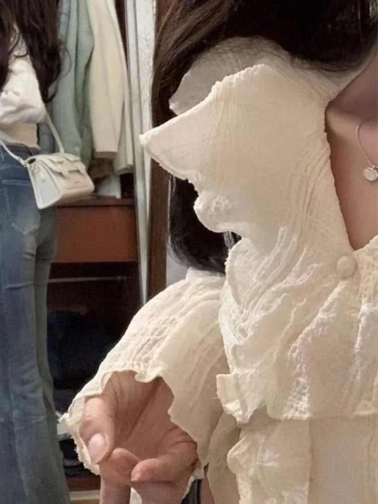 Blusa Coreana Crop Top Volantes Manga Larga Cuello V